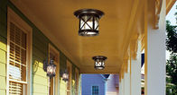 Kahverengi Renk Dekoratif Dış Mekan Asma Tavan Işıkları Su Geçirmez Cam Lamba