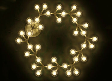 17 Işık LED Net Circle Asma Tavan Işıkları Sıcak Beyaz LED ile