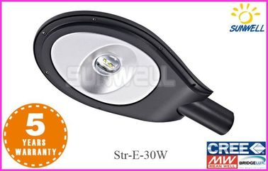 12 V / 24V Bahçe Açık Led Sokak Lambaları su geçirmez 30w 2800lm